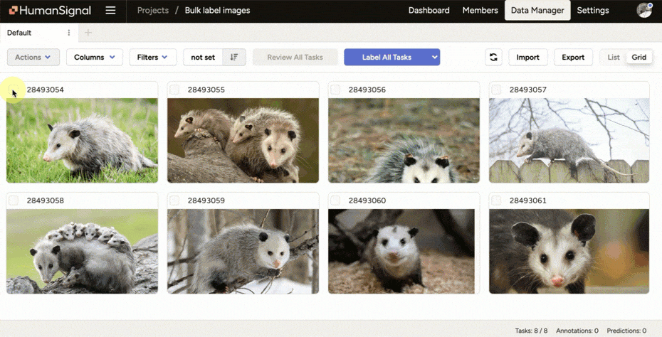 Gif showing selecting images in grid view